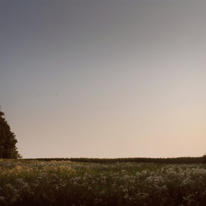 日逼啊…嗯……啊…嗯……
